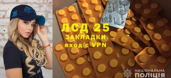 PSILOCYBIN Абдулино