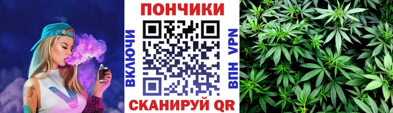 наркота  Солигалич  Шишки марихуана MAZAR 